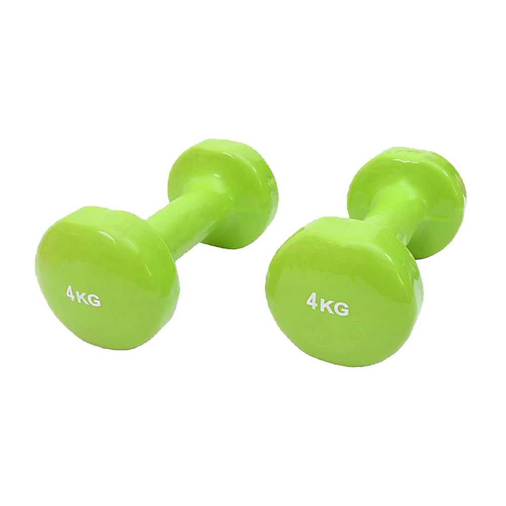 Dumbbell price discount