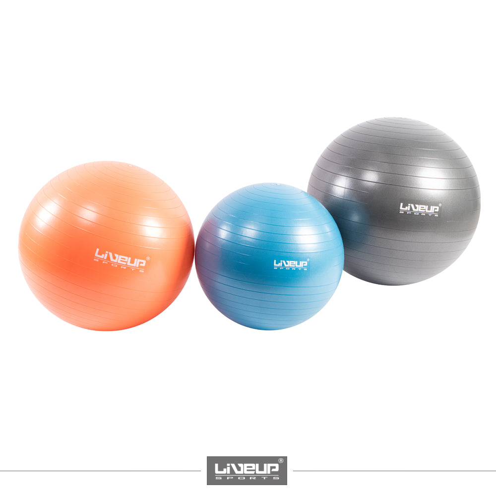 Anti-Burst Exercise Yoga Ball / Physio Ball